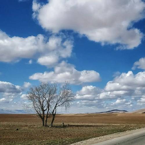 علی یکتا کم سر چشمه بنشین حال روزمه بوین